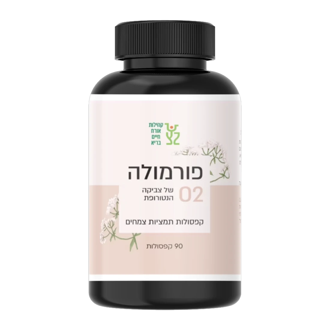 פורמולה 02 - סטרס ושינה