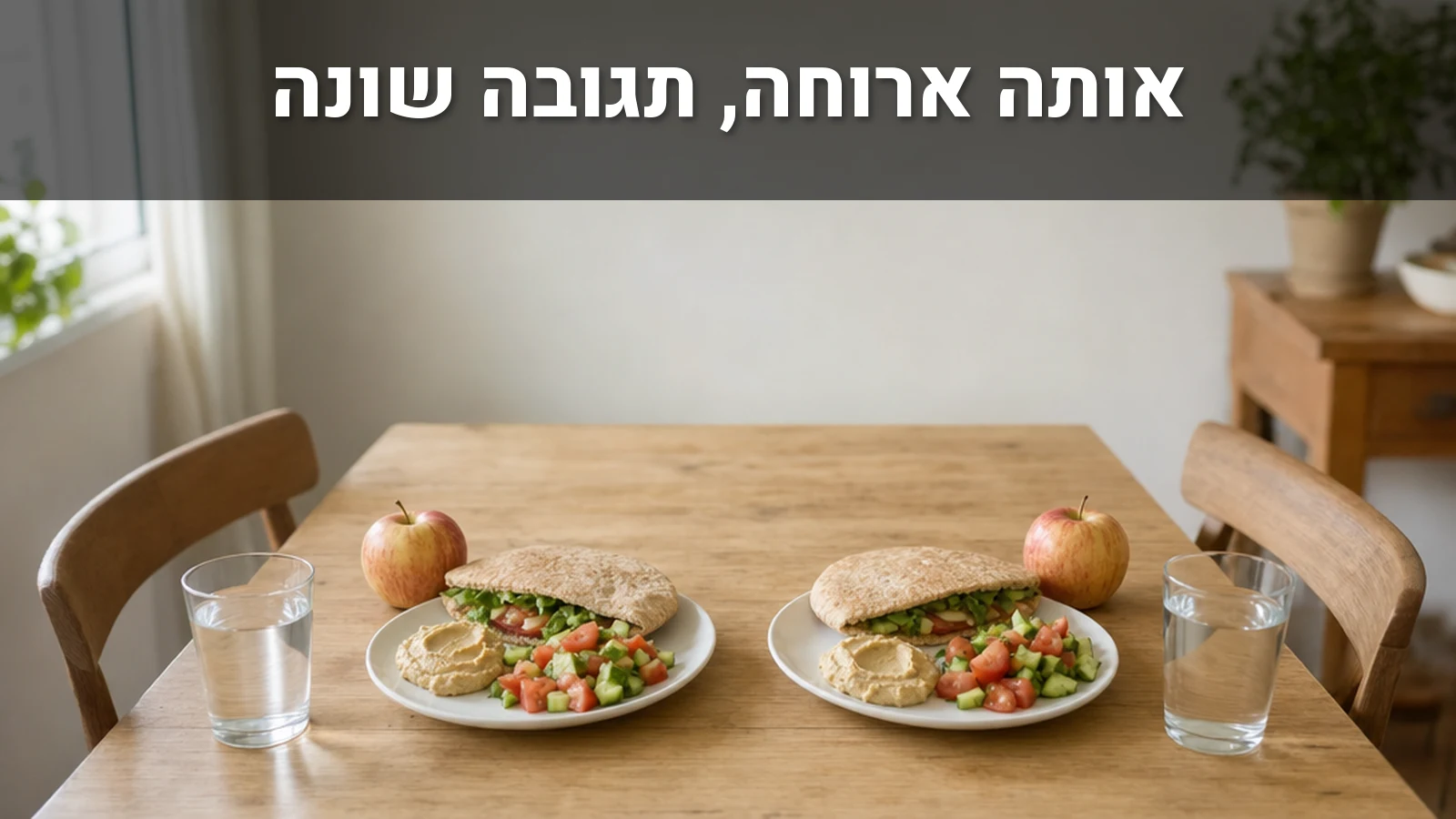 שתי צלחות זהות של פיתה מקמח מלא, סלט ירקות וחומוס על שולחן עץ ערוך לשניים